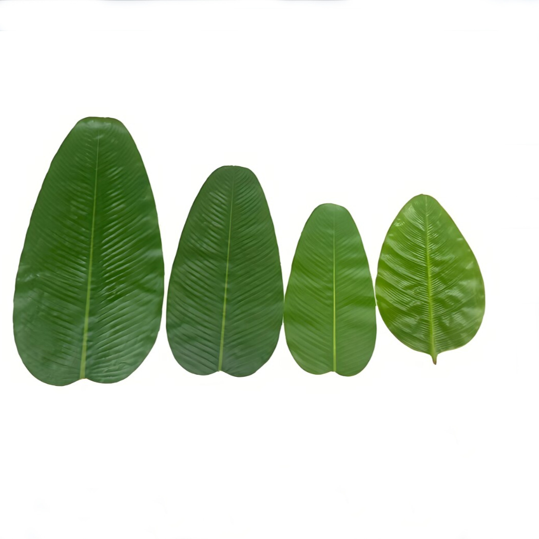 Banana Leaf Dining Table Hotel - огляд і ціна Baby Food Banana